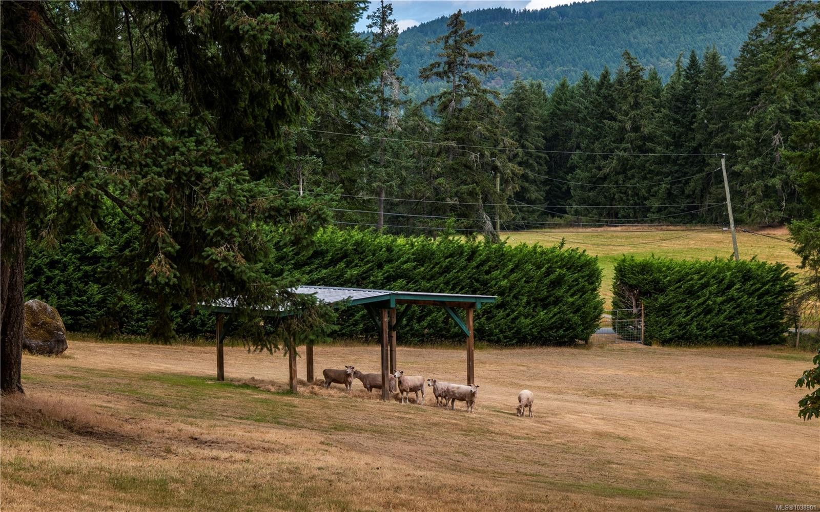 1662 Stamps Rd, Cowichan Bay, BC