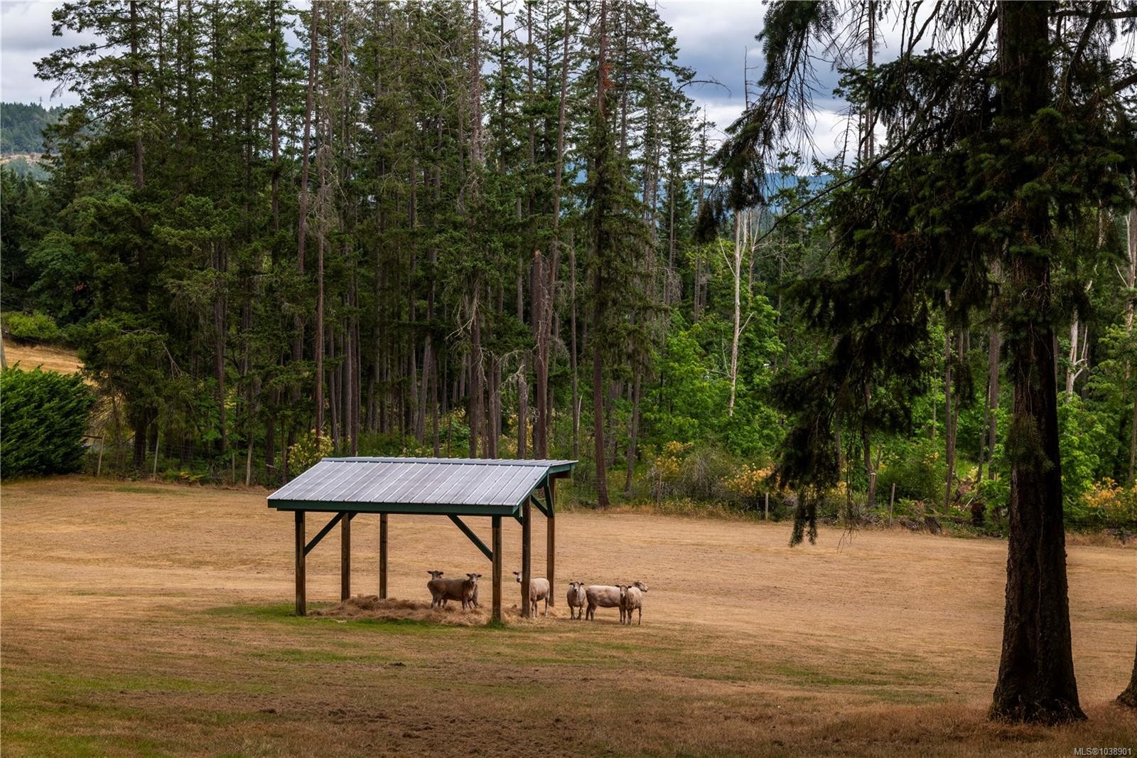 1662 Stamps Rd, Cowichan Bay, BC