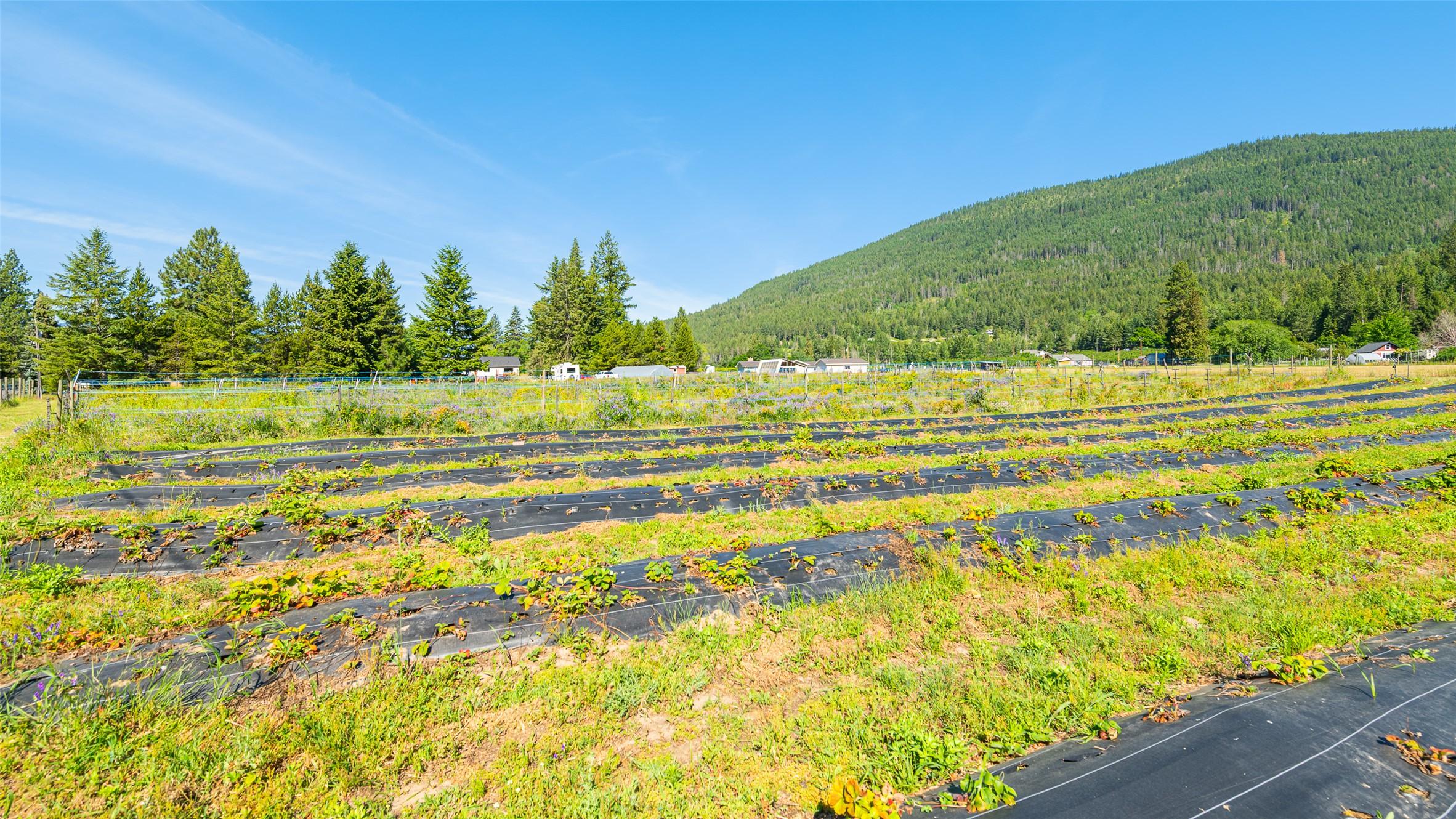 3720 Sylvester Road, Creston, BC