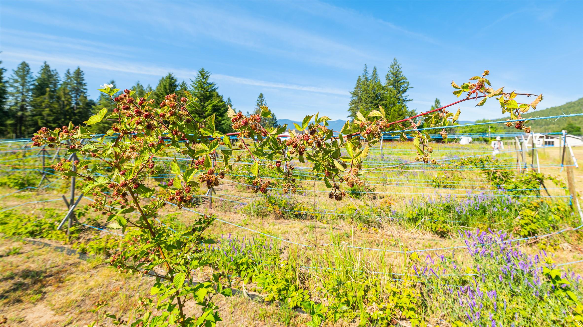 3720 Sylvester Road, Creston, BC
