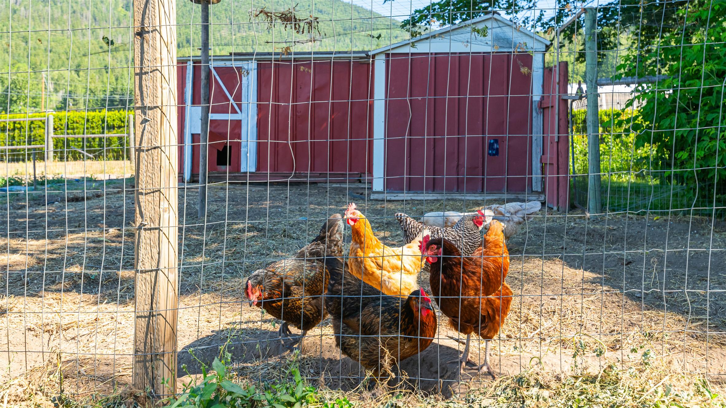 3720 Sylvester Road, Creston, BC