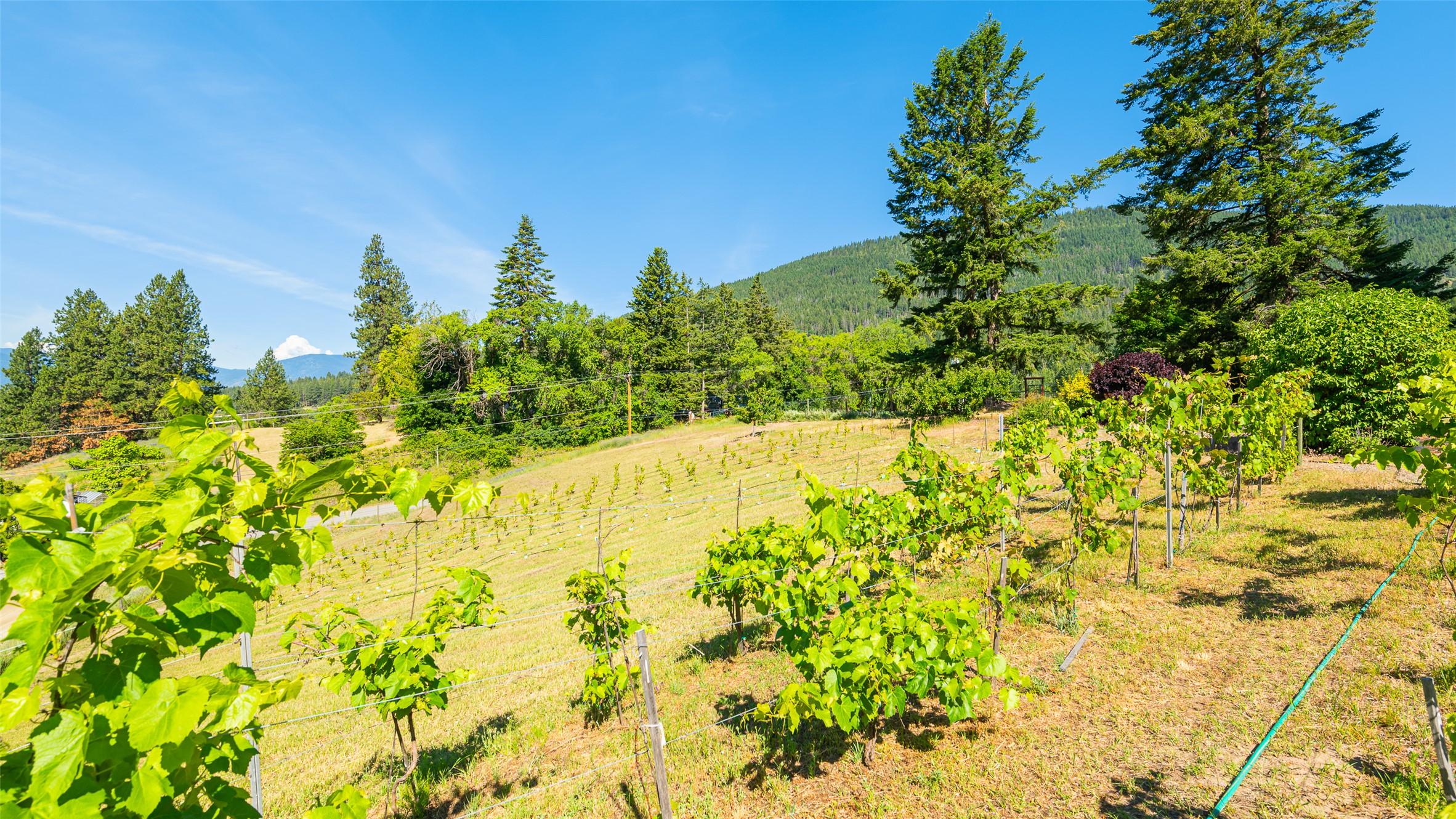 3720 Sylvester Road, Creston, BC