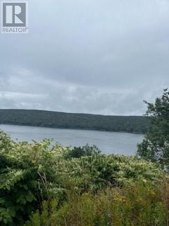 76 Harbour Road, Cape Broyle, NL
