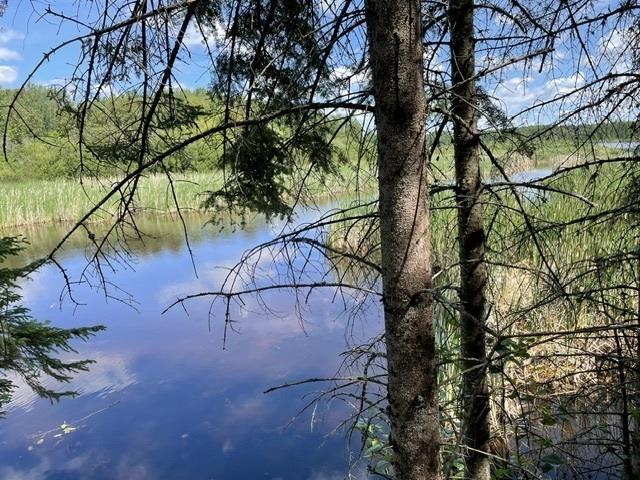 301 Sandy Beach Road, Dryden, ON