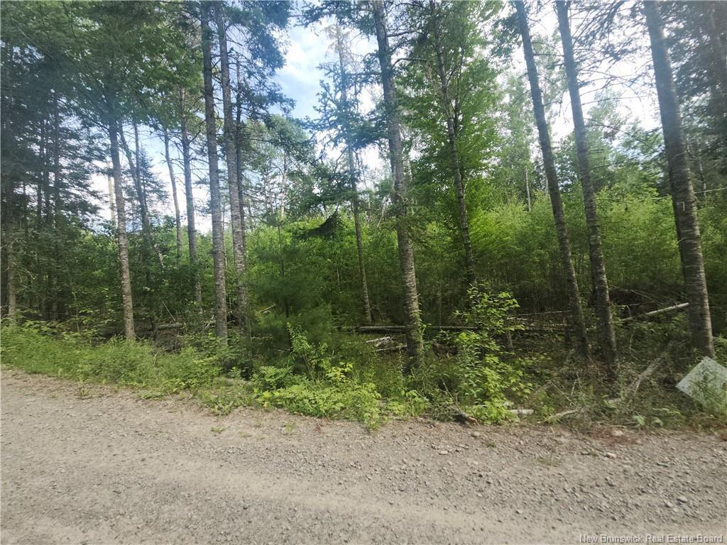 21-01 Sunset Dr, Bayside, NB
