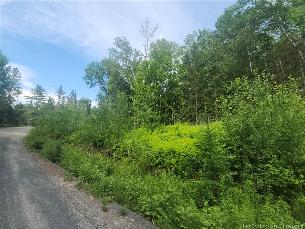 21-01 Sunset Dr, Bayside, NB