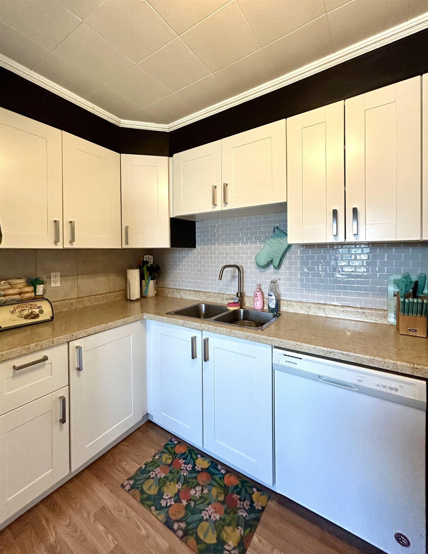 6080 Highway 11, Emo, ON - Indoor Photo Showing Kitchen With Double Sink
