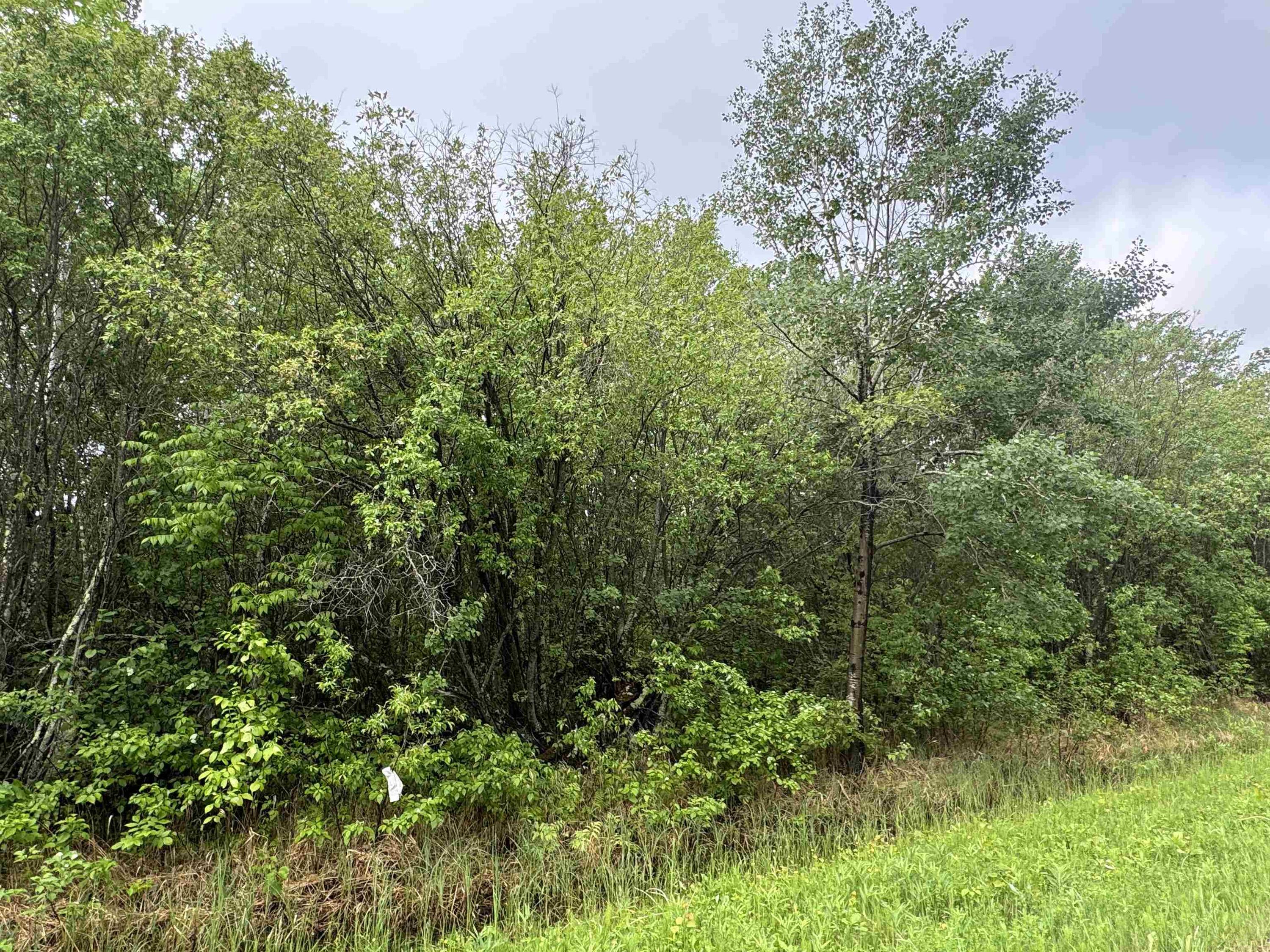 Pcl 11483 Budreau Rd, Rainy River, ON