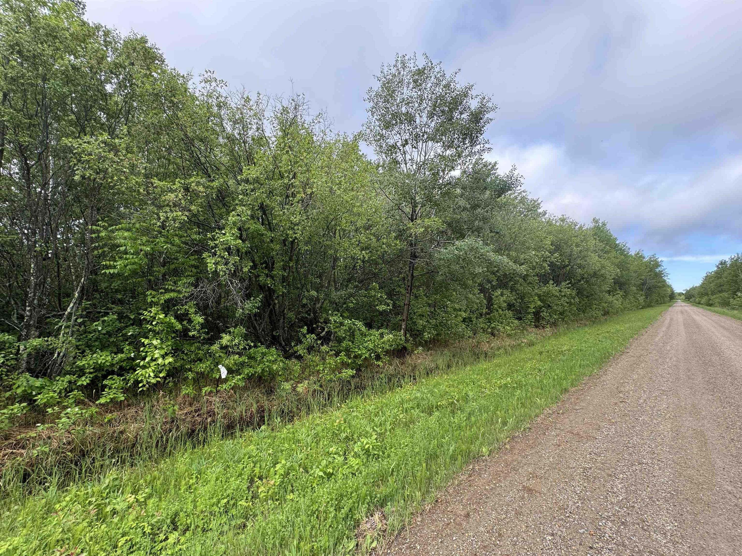 Pcl 11483 Budreau Rd, Rainy River, ON