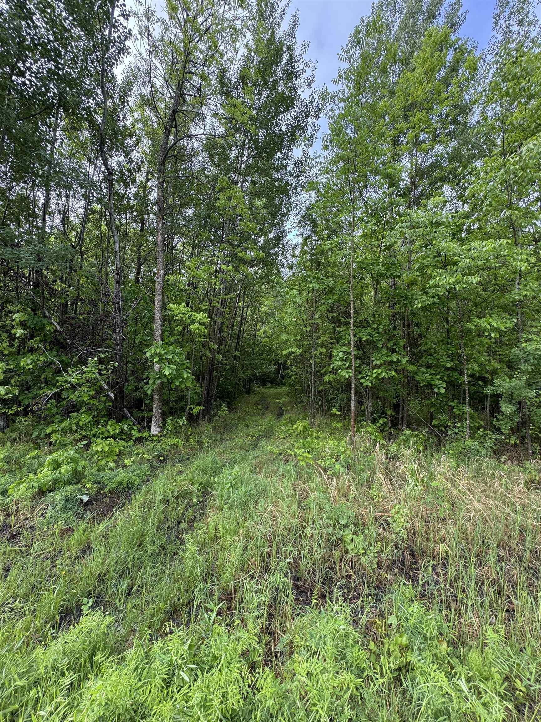 Pcl 11483 Budreau Rd, Rainy River, ON