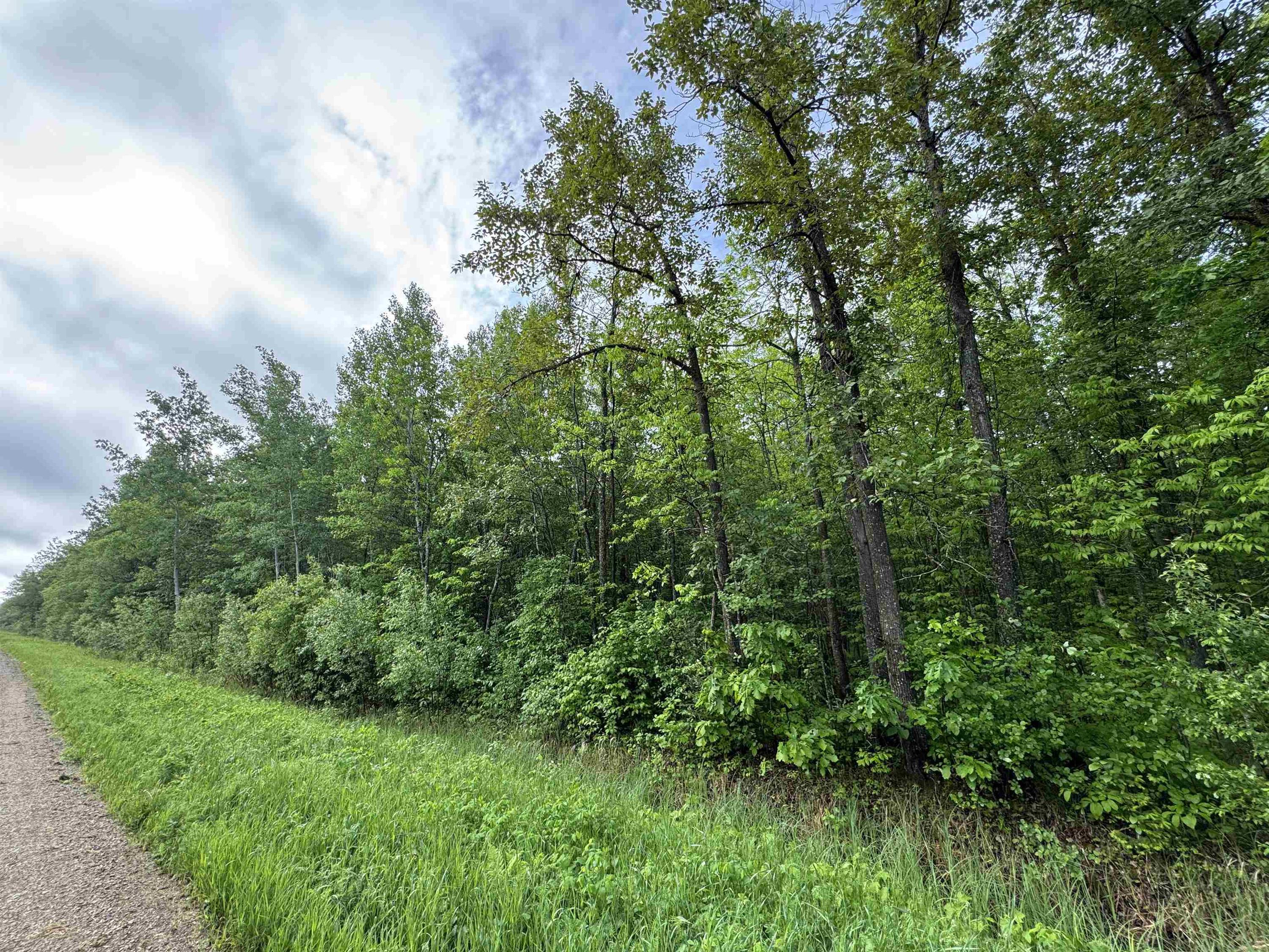 Pcl 11483 Budreau Rd, Rainy River, ON