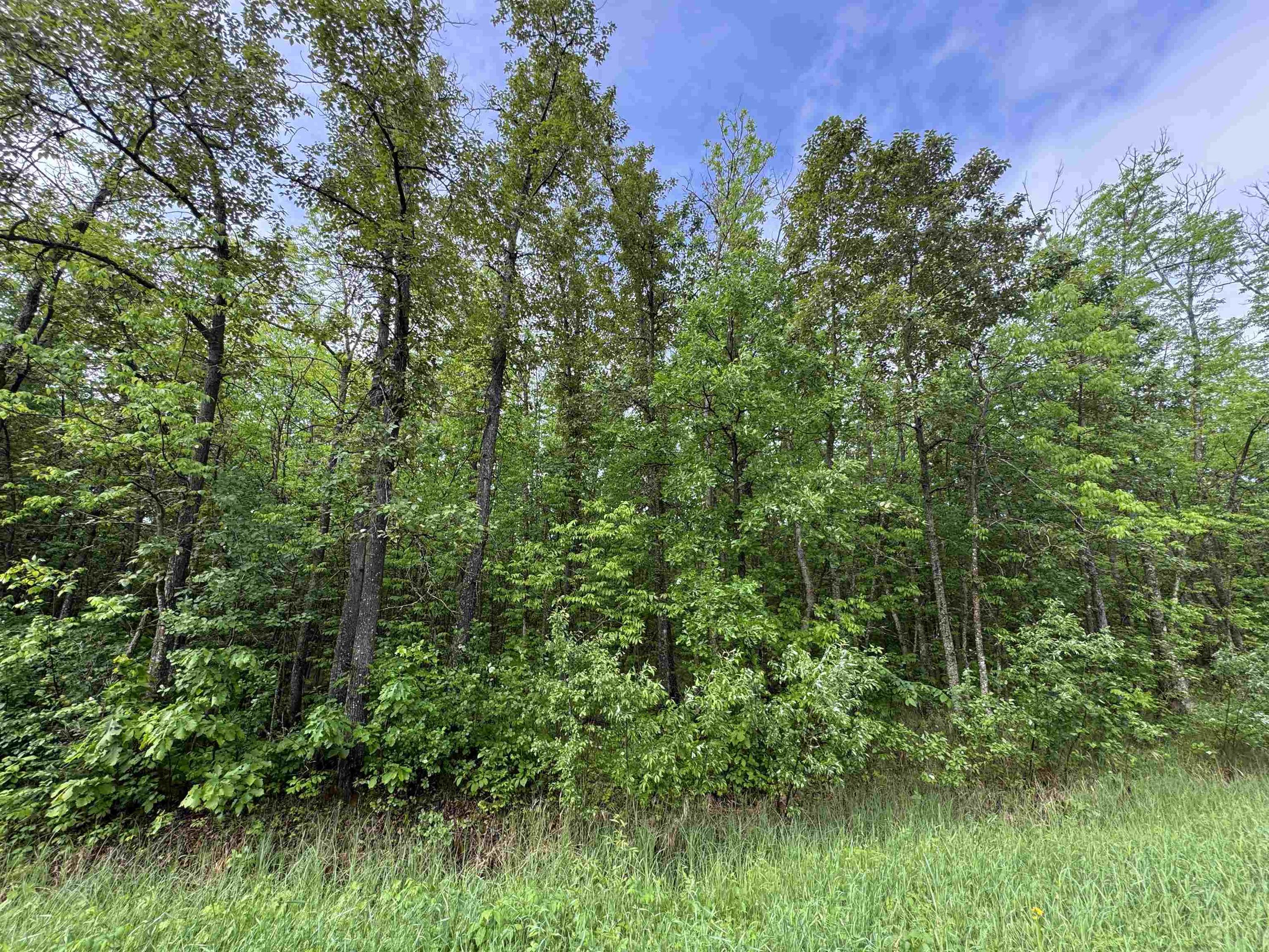 Pcl 11483 Budreau Rd, Rainy River, ON