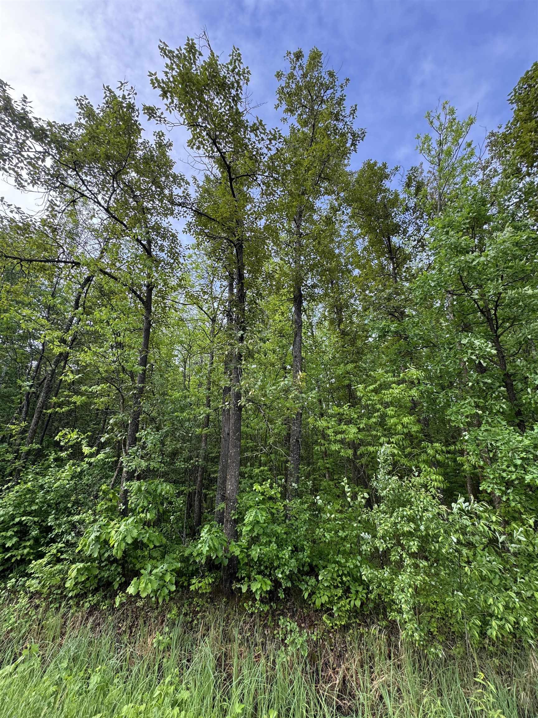 Pcl 11483 Budreau Rd, Rainy River, ON