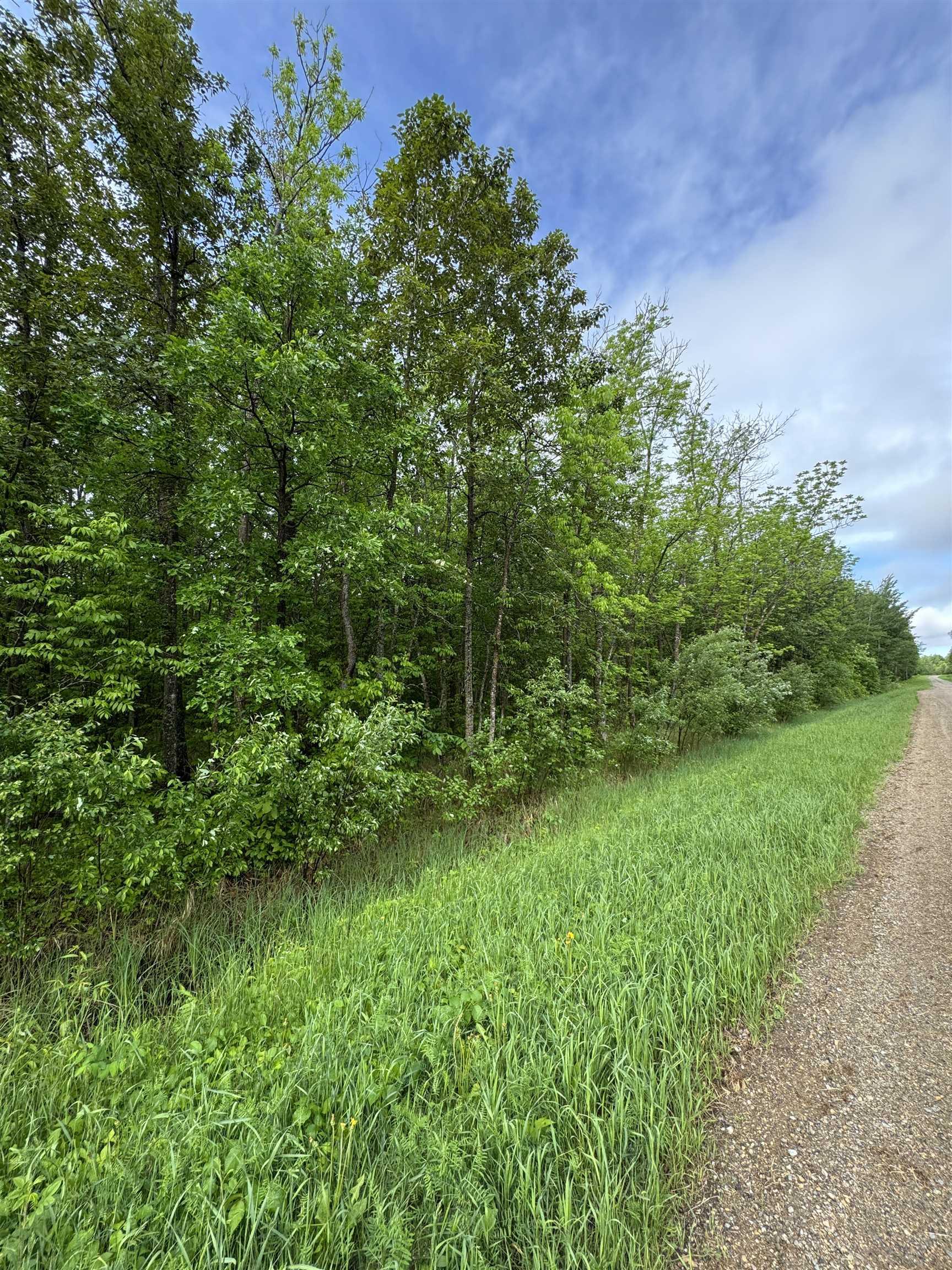 Pcl 11483 Budreau Rd, Rainy River, ON