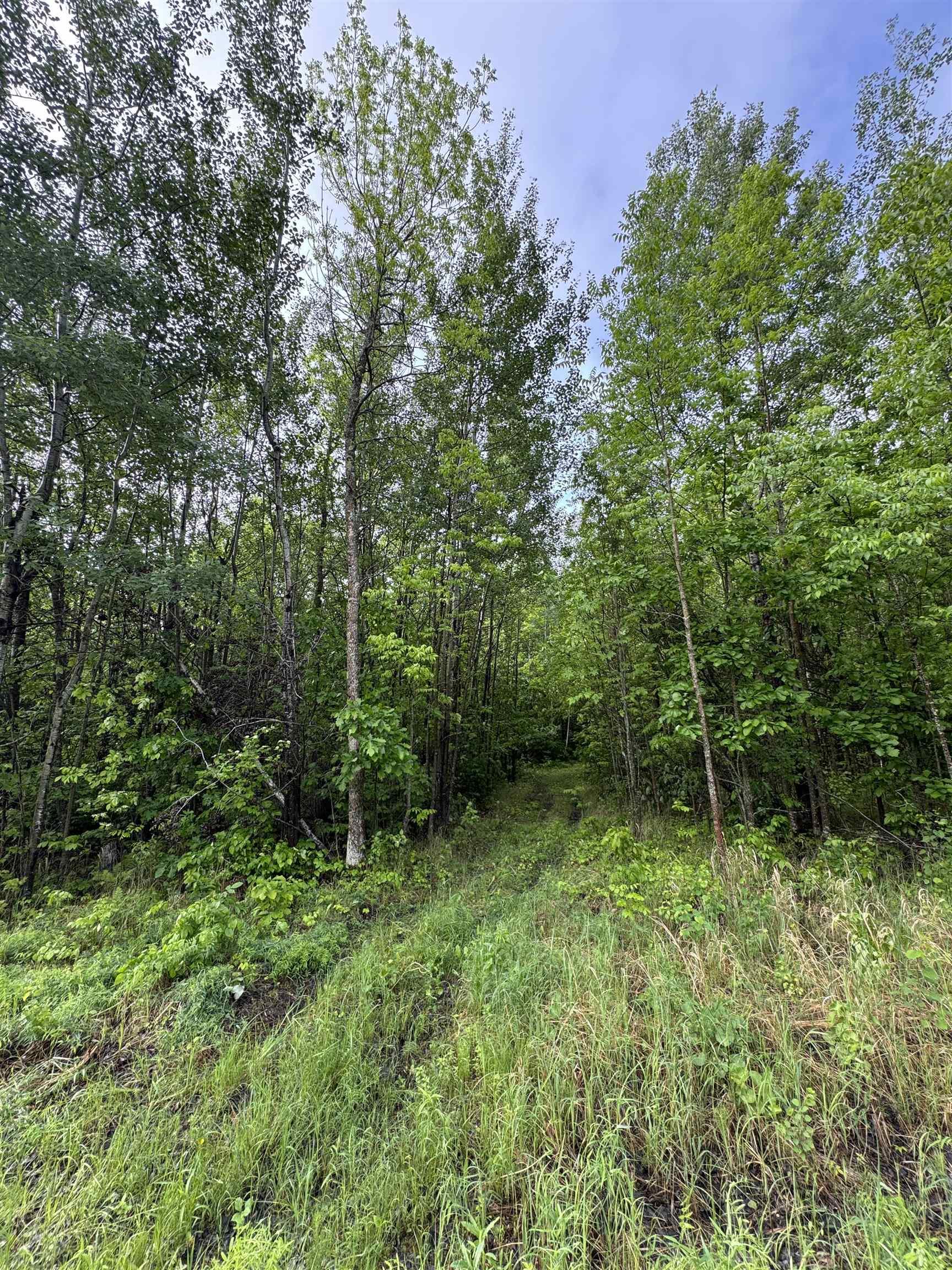 Pcl 11483 Budreau Rd, Rainy River, ON