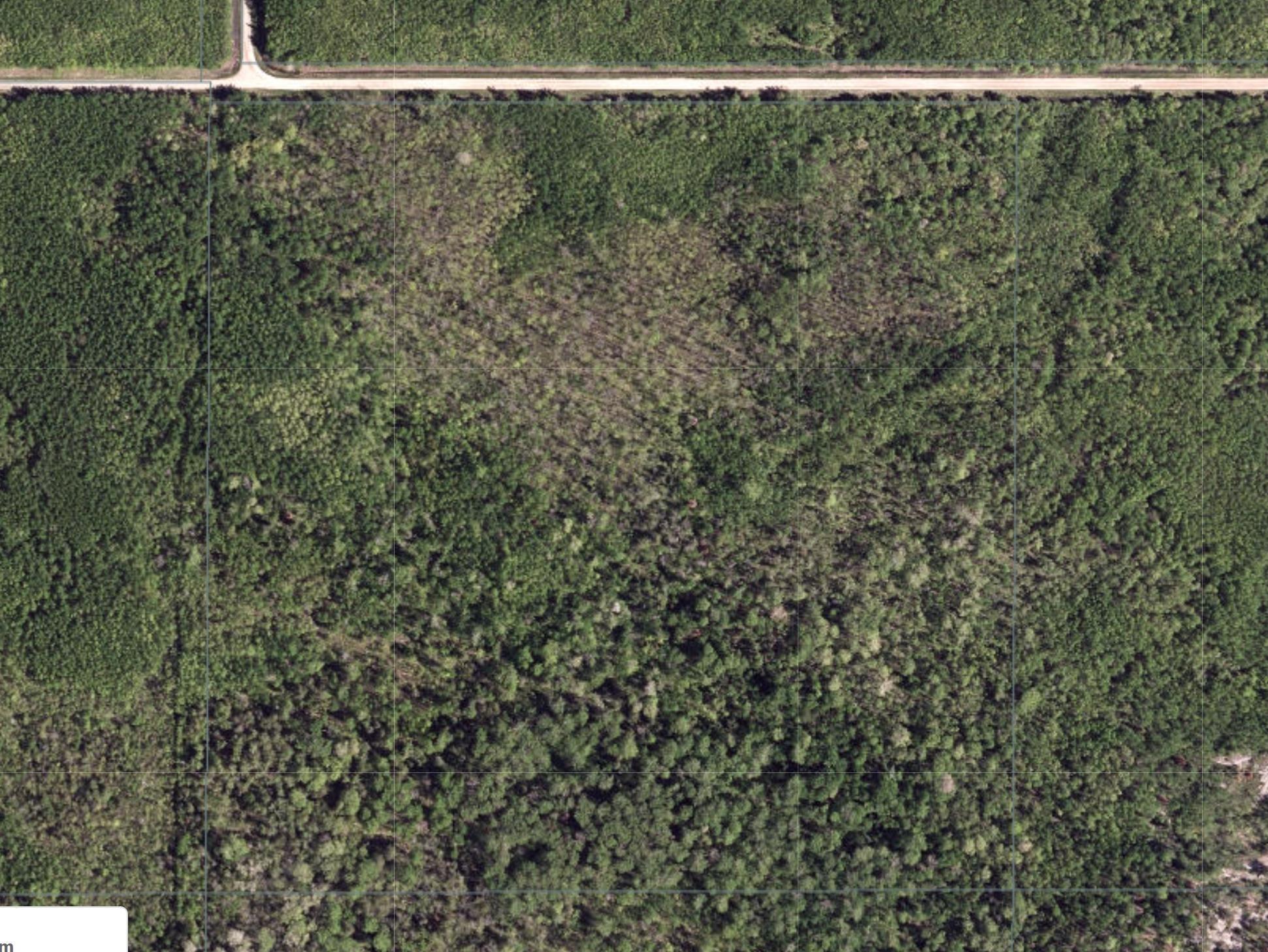 Pcl 11483 Budreau Rd, Rainy River, ON