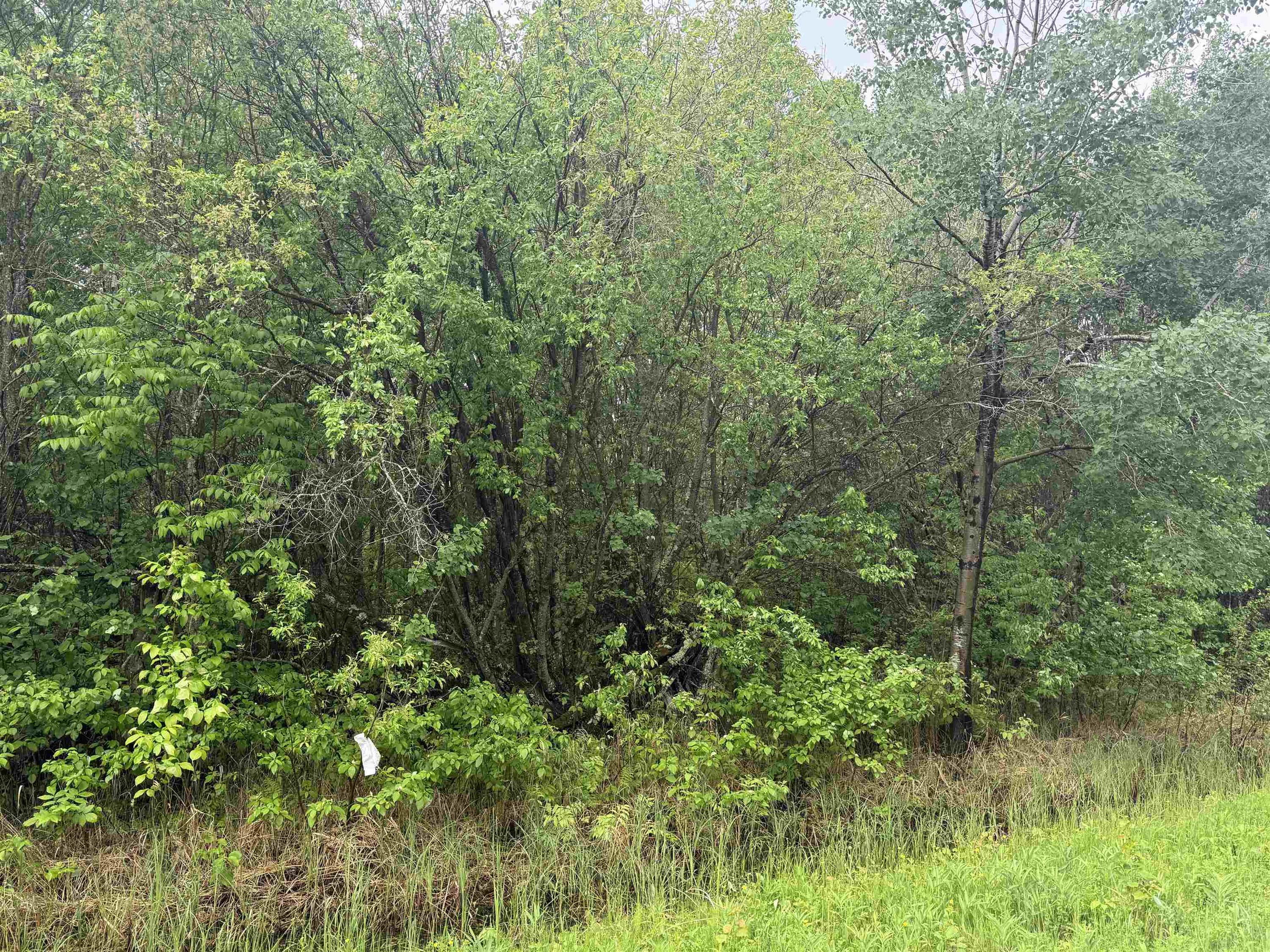 Pcl 11483 Budreau Rd, Rainy River, ON