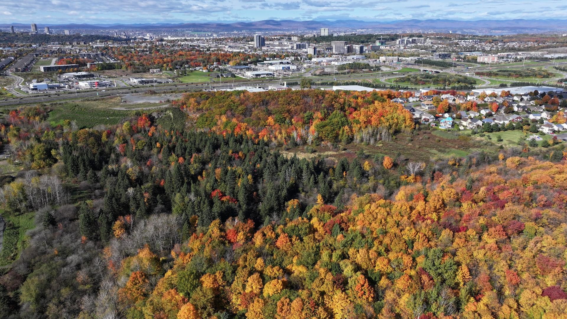 Aerial View - Rue Jacques-Nau, Lévis (Desjardins), QC