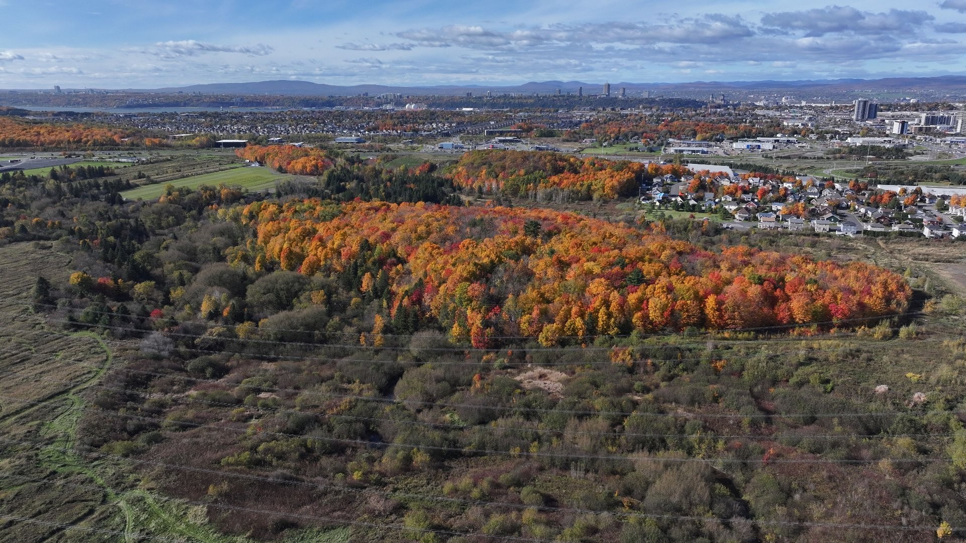 Aerial View - Rue Jacques-Nau, Lévis (Desjardins), QC