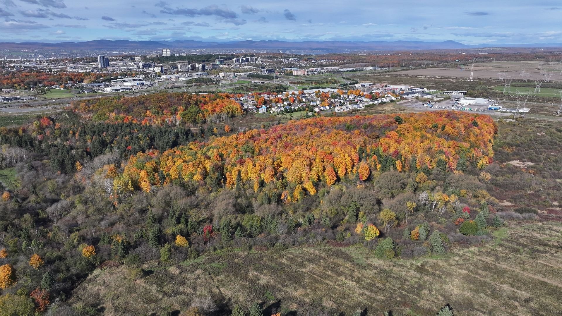 Aerial View - Rue Jacques-Nau, Lévis (Desjardins), QC