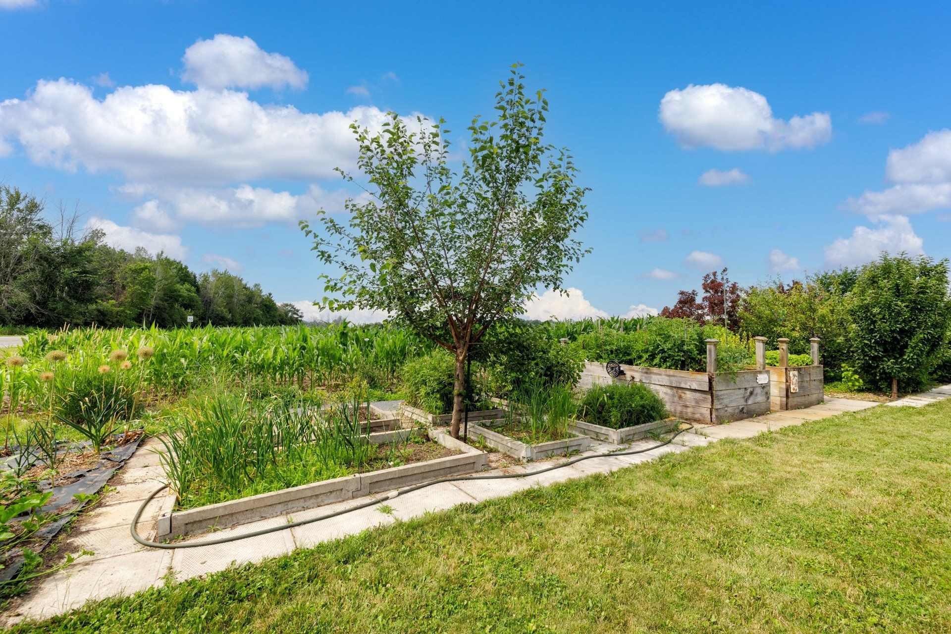 Garden - 81 Route 223, Lacolle, QC - Outdoor With View