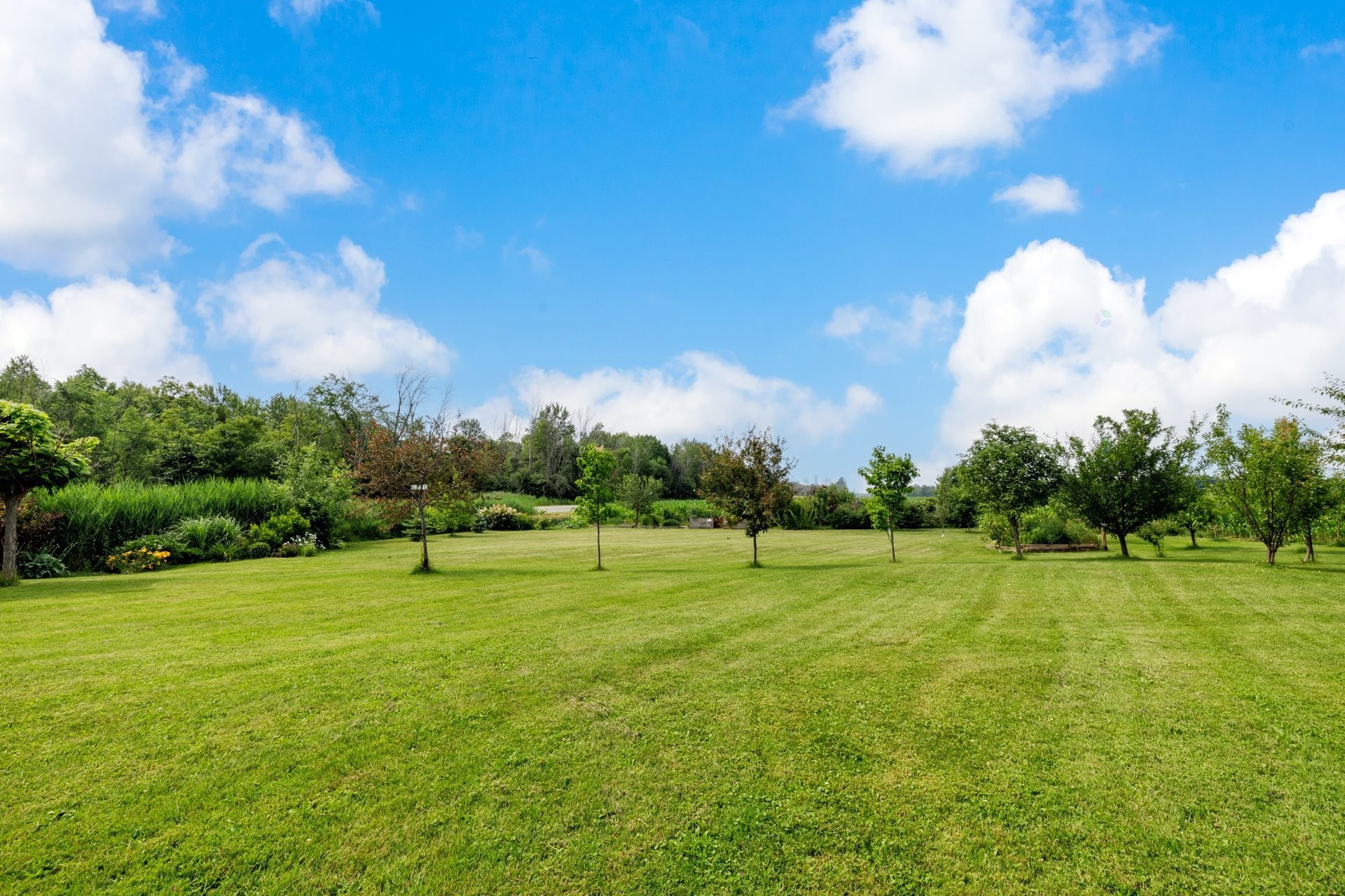 Garden - 81 Route 223, Lacolle, QC - Outdoor With View