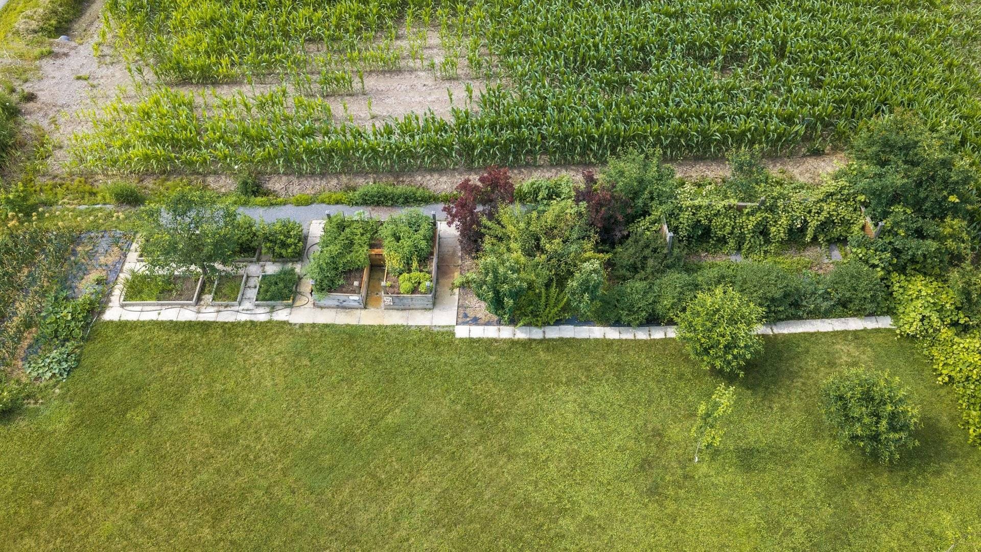 Garden - 81 Route 223, Lacolle, QC - Outdoor
