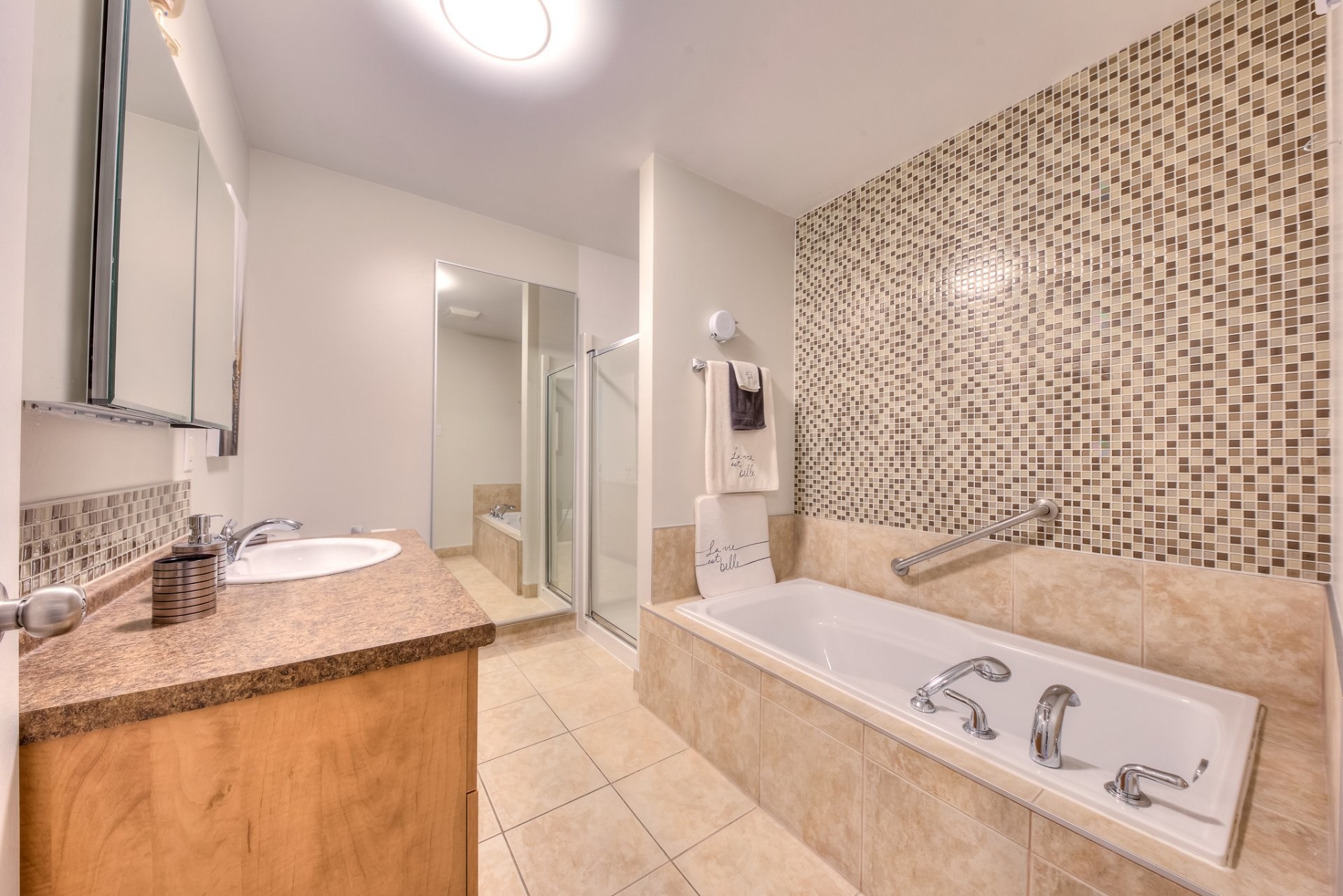 Bathroom - 102-1628 Boul. Henri-Bourassa E., Montréal (Ahuntsic-Cartierville), QC