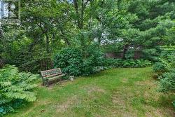 Halfway bench - top of slope, down to the Creek. - 