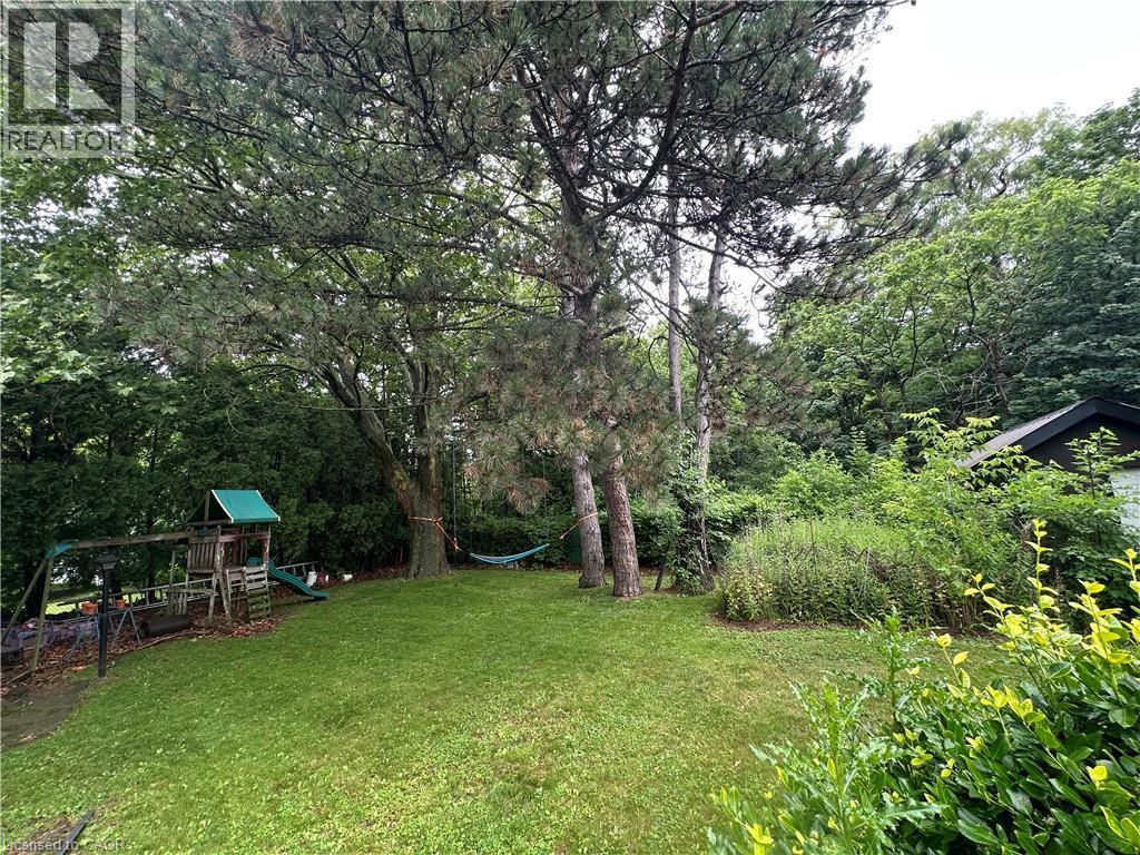 Expansive green lawn surrounded by mature trees, offering a natural setting - 11 Wilmont Court, Hamilton, ON