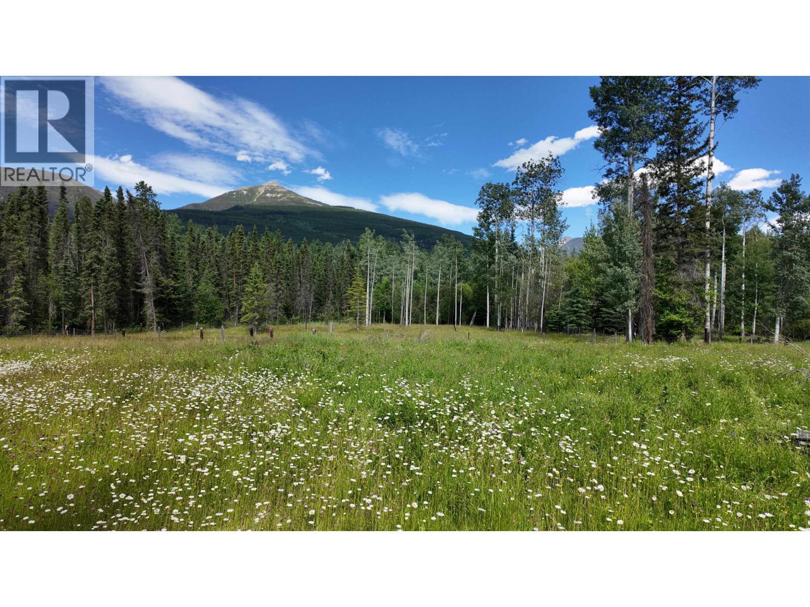 3190 Morrison Road, Valemount, BC