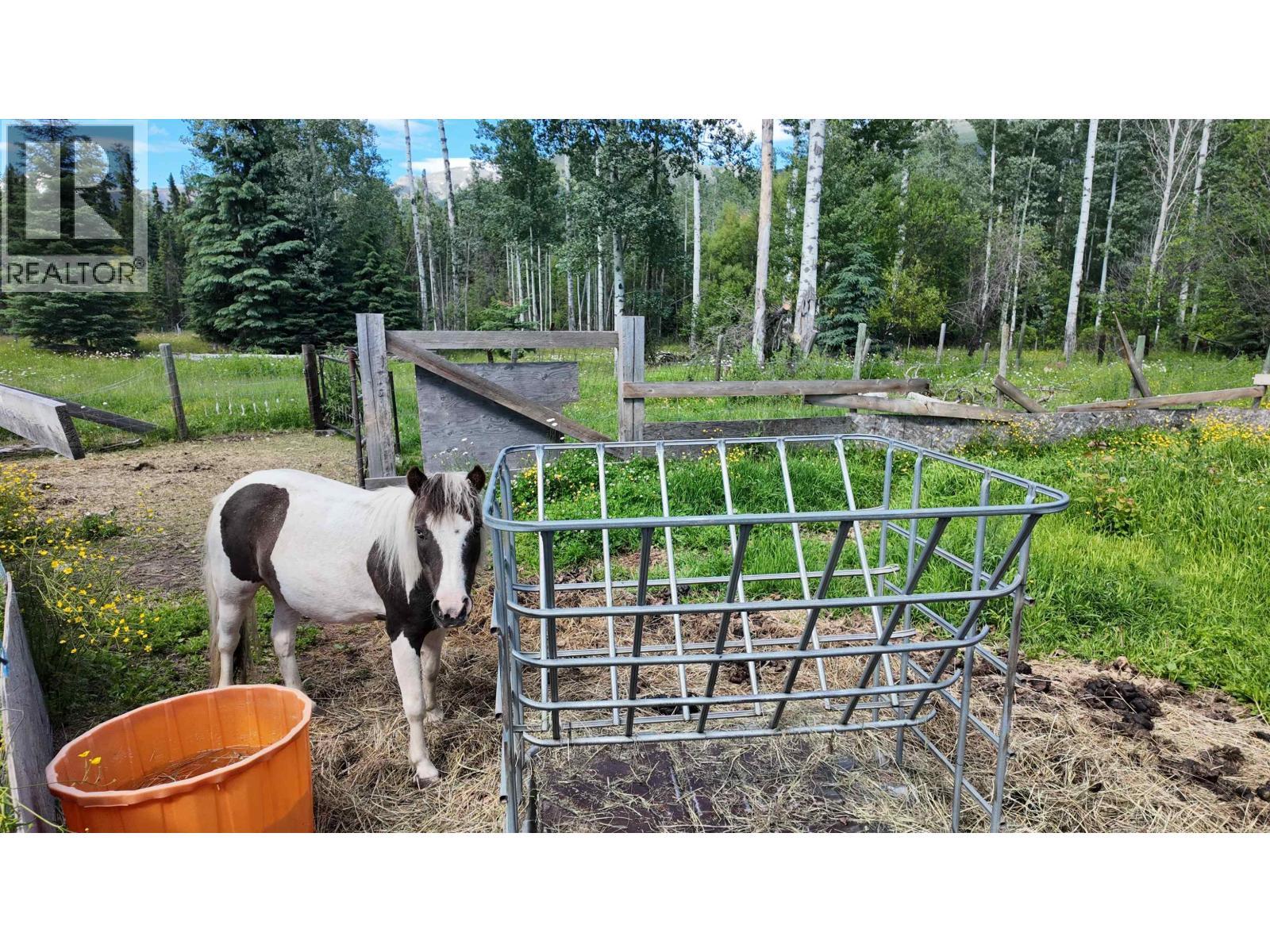 3190 Morrison Road, Valemount, BC