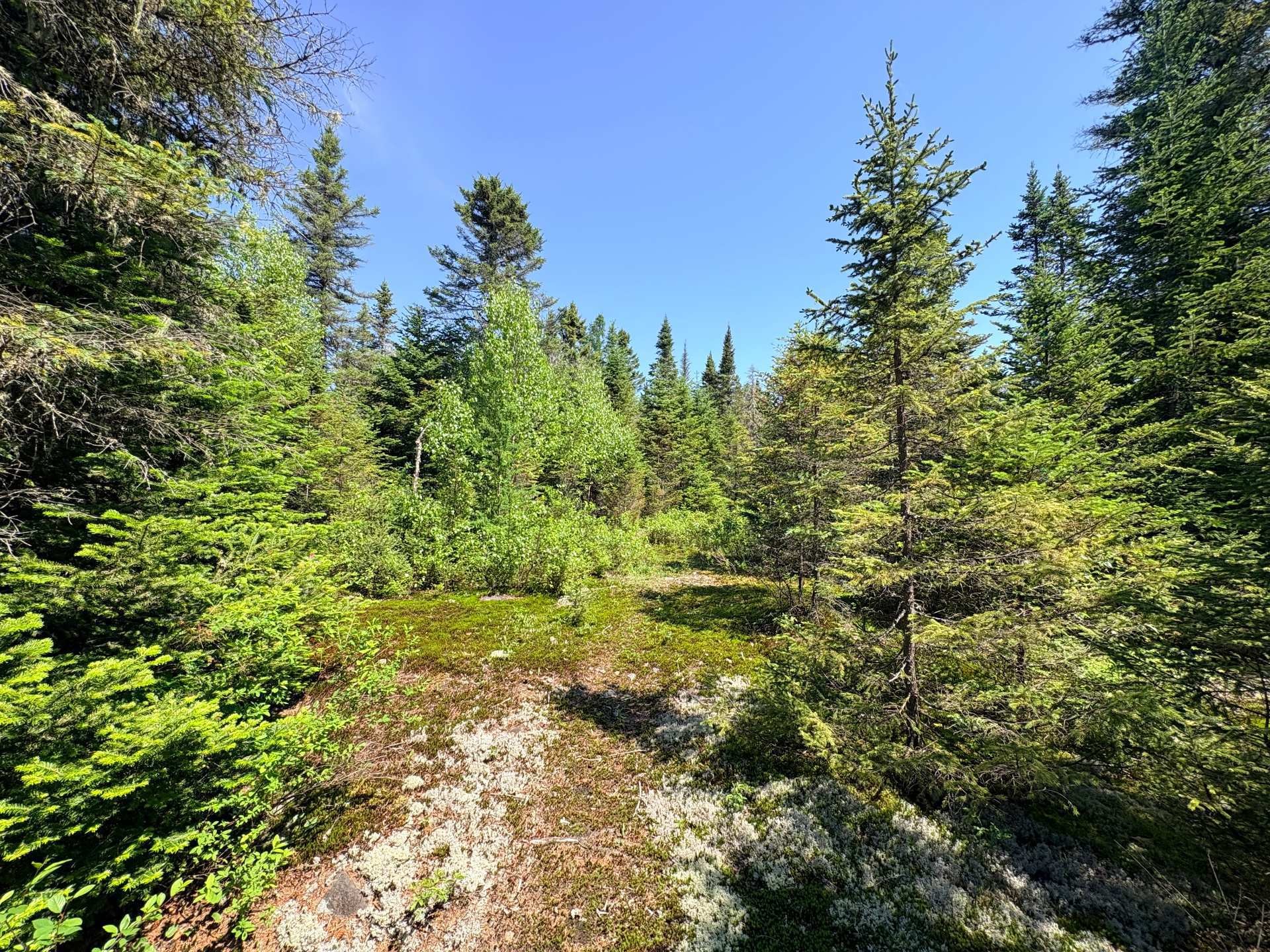 Lot - Rue Du Cerf, Val-David, QC