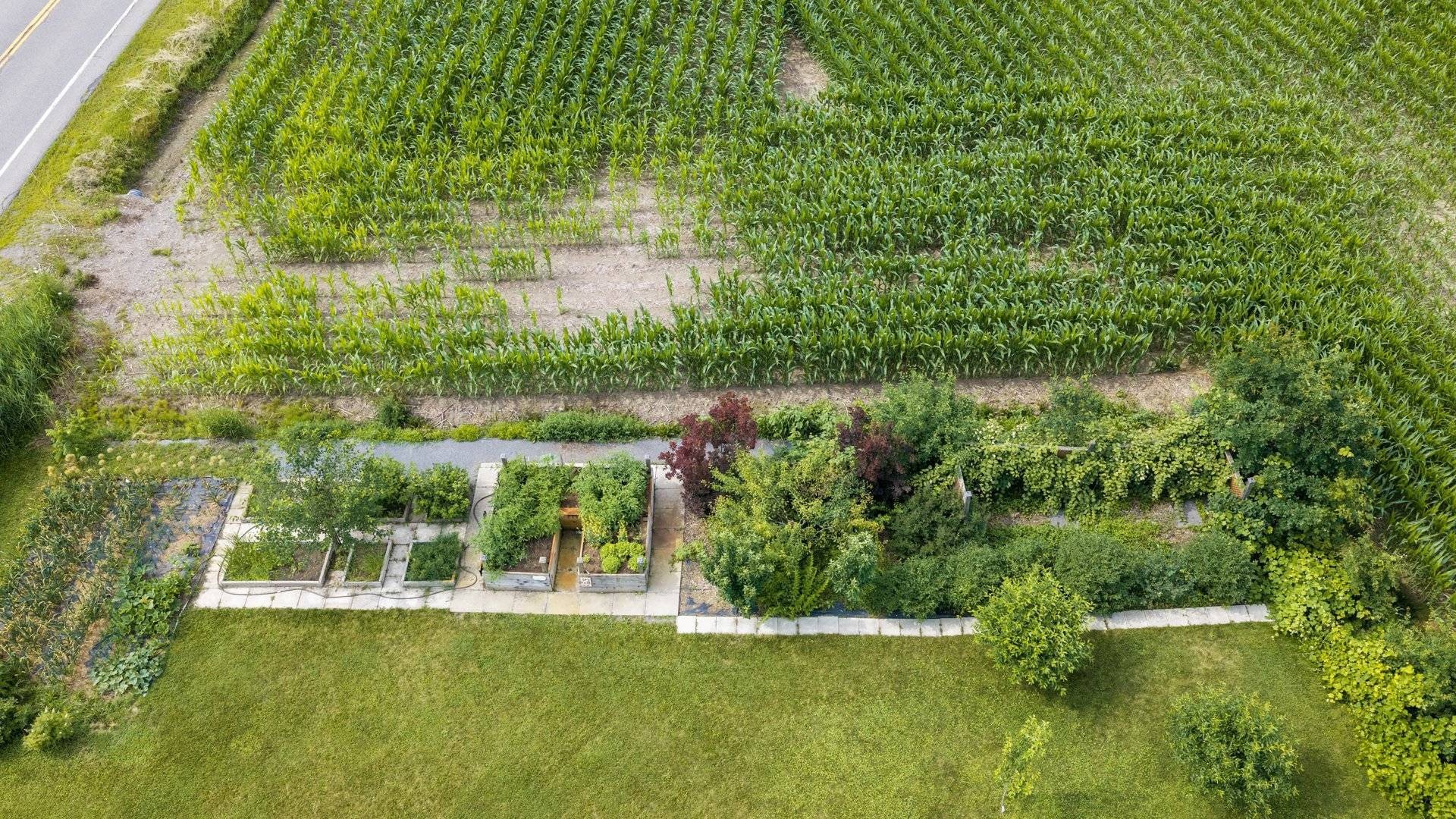 Jardin - 81Z Route 223, Lacolle, QC
