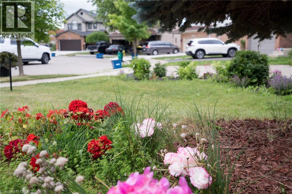 Front garden featuring vibrant red and pink flowering plants - 566 Avignon Place, Waterloo, ON