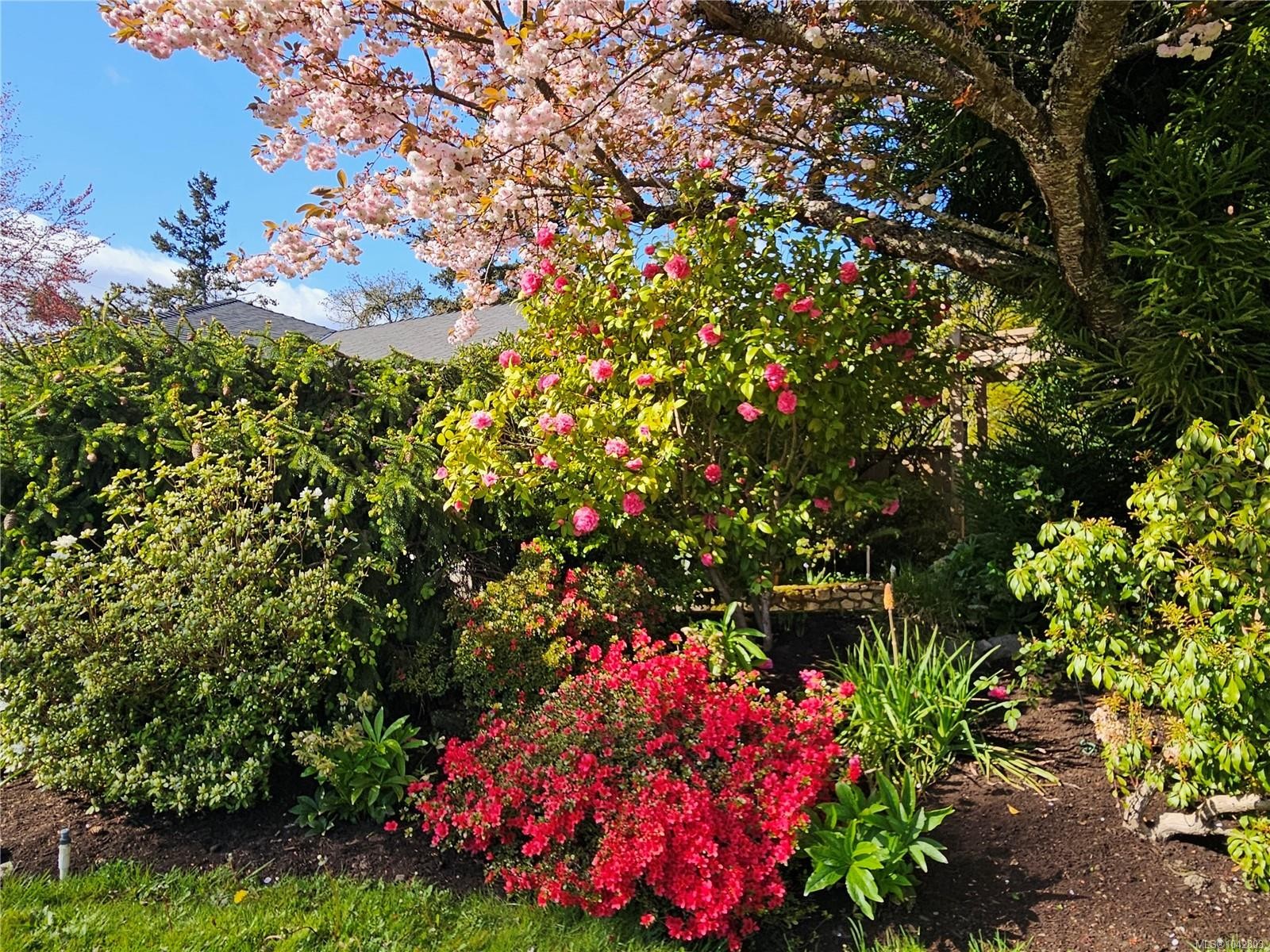 1288 Roy Rd, Saanich, BC