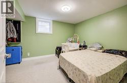Carpeted room featuring a white-framed window, a built-in open closet, and white baseboards -
