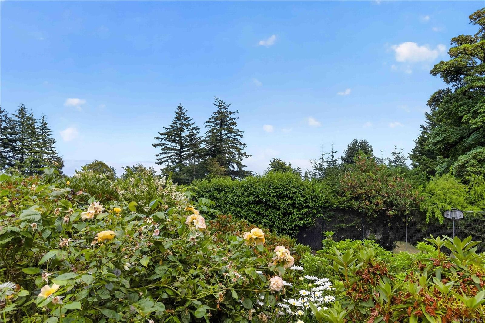 4916 Lochside Dr, Saanich, BC