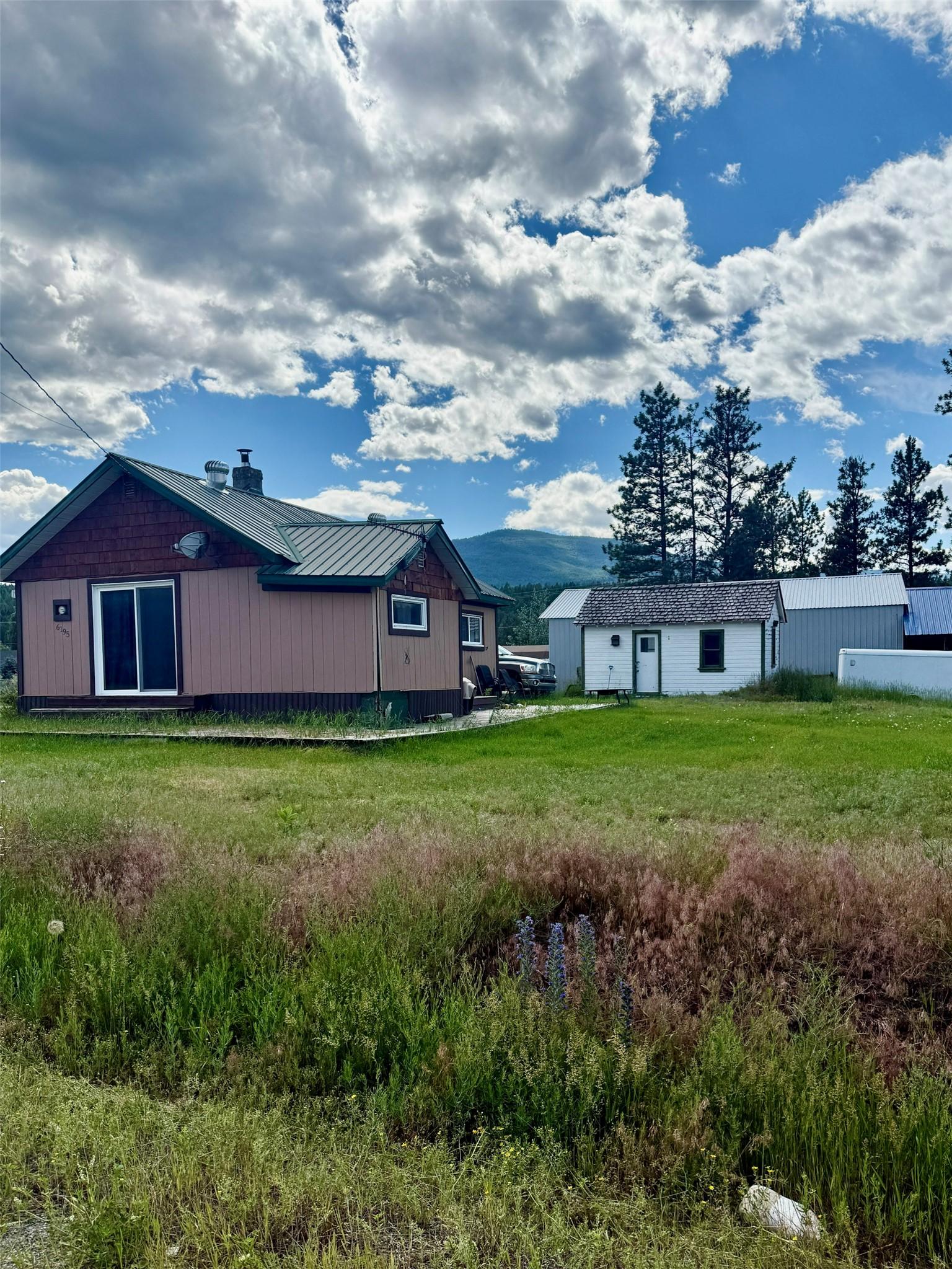 6195 & Lot 1 Cartwright Street, Wardner, BC - Outdoor