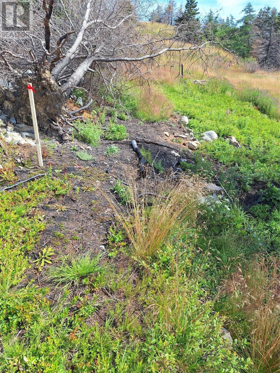2 Old Cart Path, Blackhead, NL