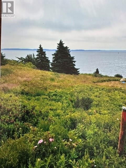 2 Old Cart Path, Blackhead, NL
