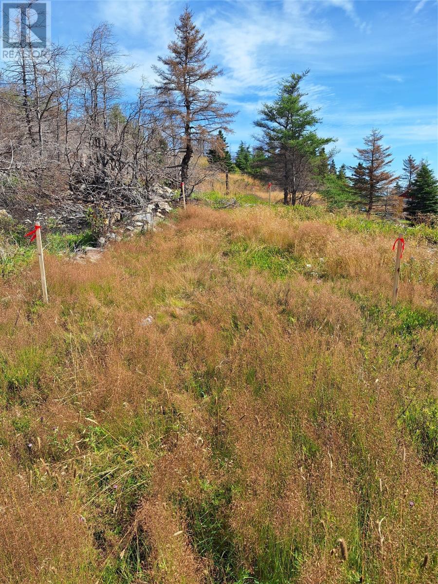 2 Old Cart Path, Blackhead, NL