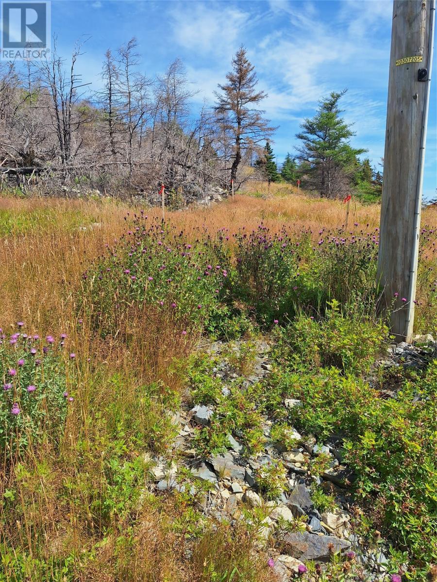 2 Old Cart Path, Blackhead, NL