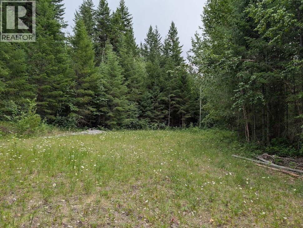 13 Collins Road, Williams Lake, BC