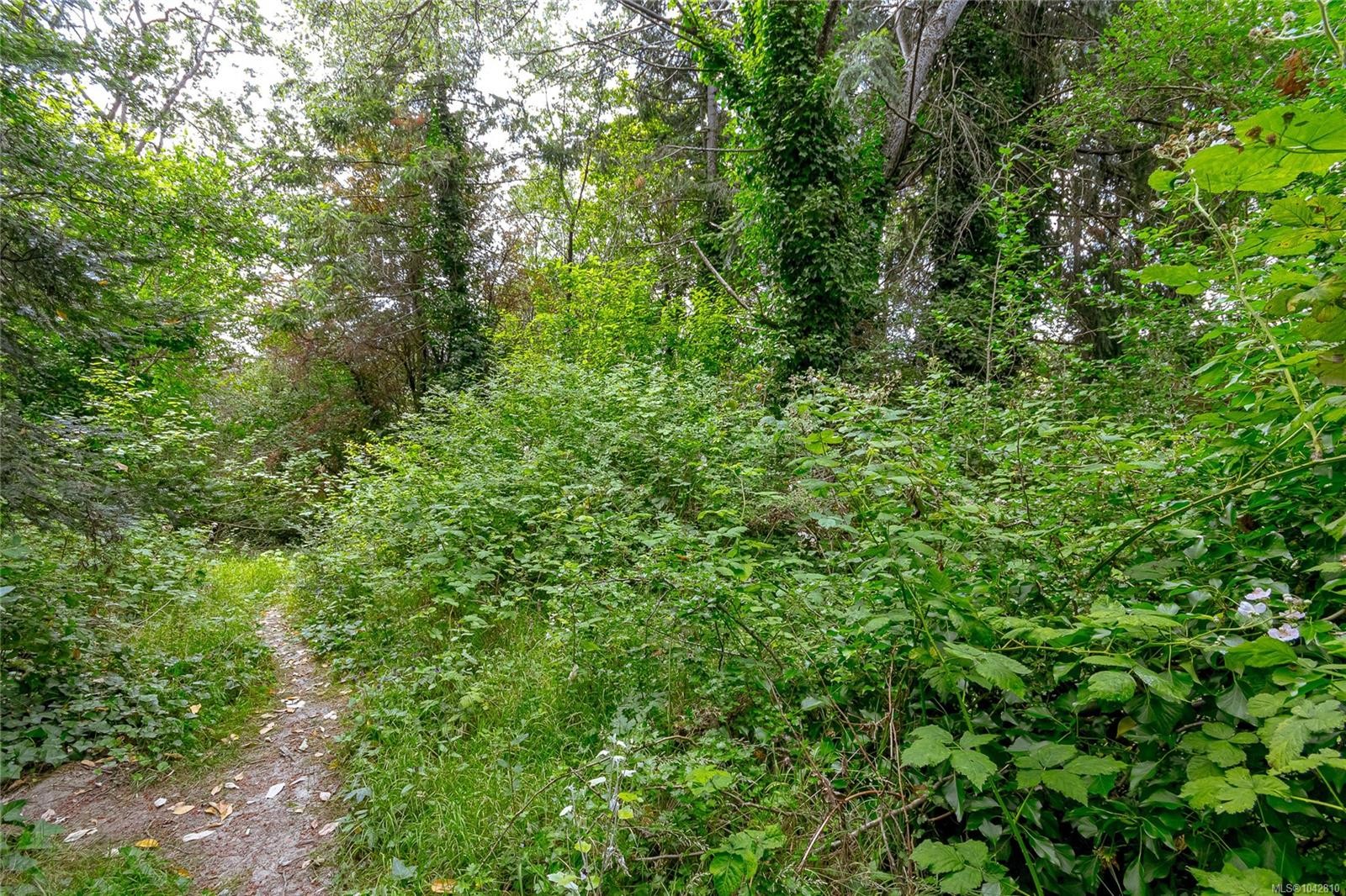 883 Lampson St, Esquimalt, BC