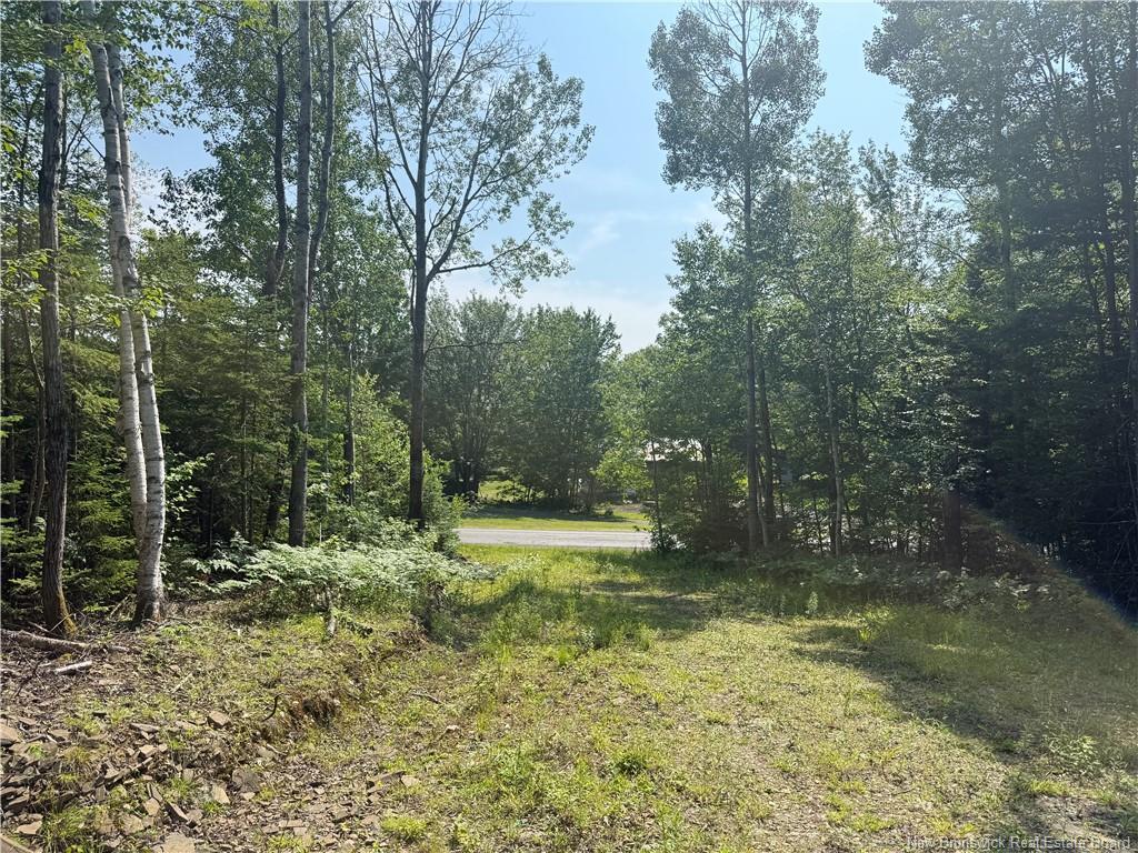 306 Bridge St, Minto, NB