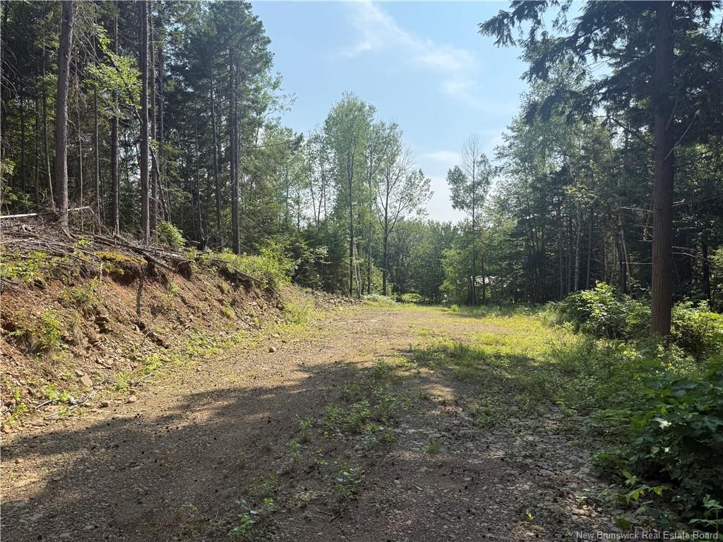 306 Bridge St, Minto, NB