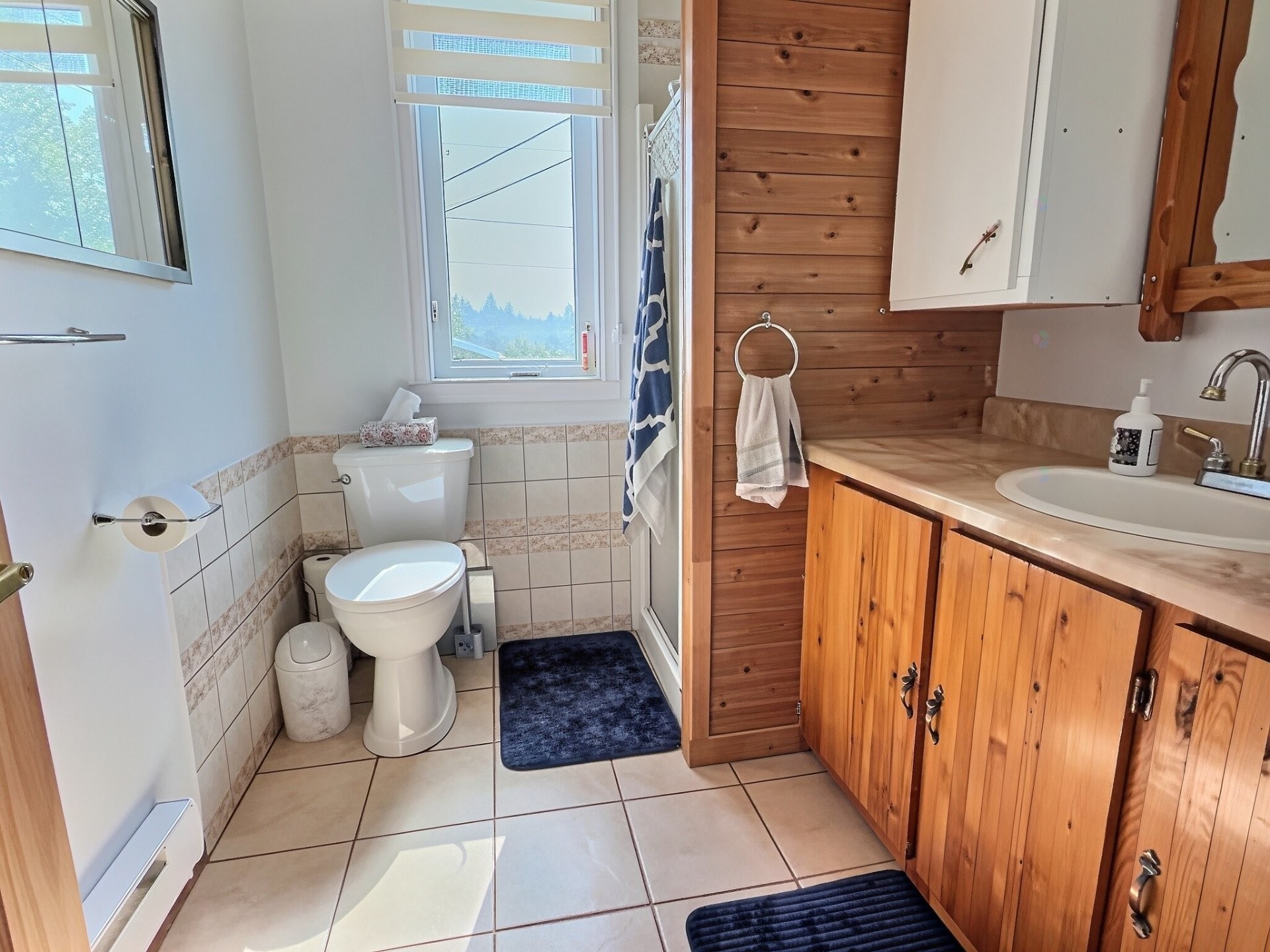 Bathroom - 22 7E Avenue, Champneuf, QC - Indoor Photo Showing Bathroom