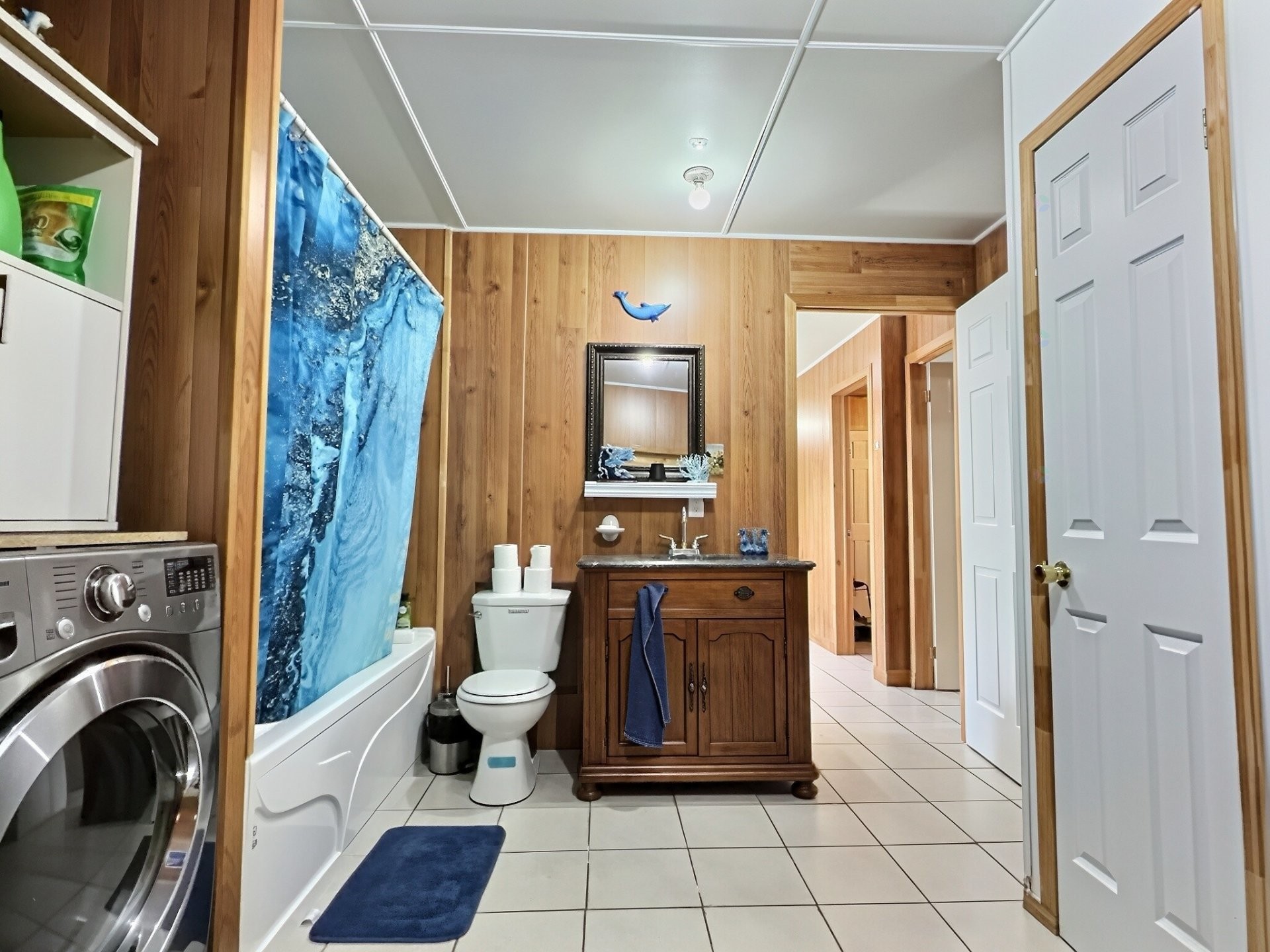 Bathroom - 22 7E Avenue, Champneuf, QC - Indoor Photo Showing Laundry Room