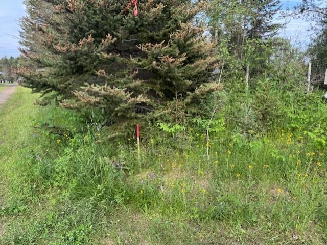 183 Thompson Road, Thunder Bay, ON